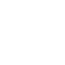 button icon